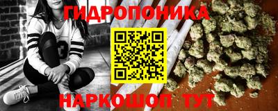 гидропоника Гусь-Хрустальный