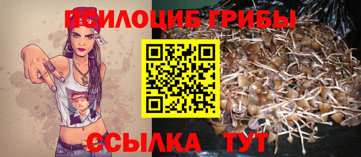магазин    Вход с VPN  Балаково  Галлюциногенные грибы GOLDEN TEACHER 